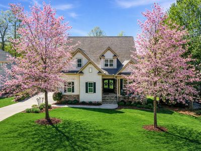 81 Golden Heather