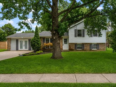 675 Woodgate Rd