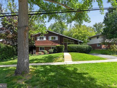 4401 Ferrara Dr