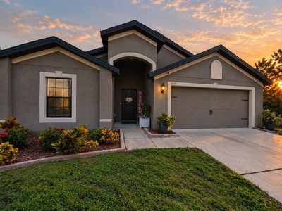 Property at 1007 CULBREATH GREEN COURT, Ruskin, FL
