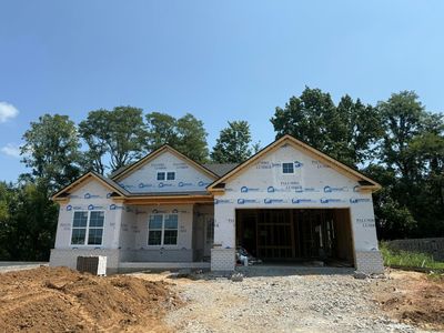 228 Krauss Dr