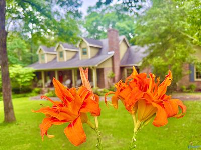 243 Lynnwood Cir