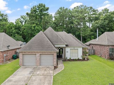 401 Brown Thrasher Loop S