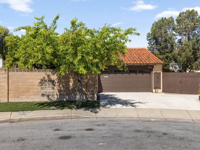 2323 Abaca Way