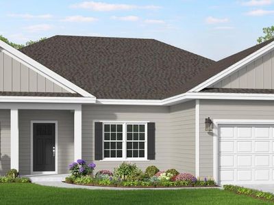 206 Allie Loop