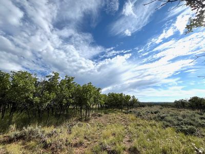 Property at 106 N Porcupine Ln, La Sal, UT