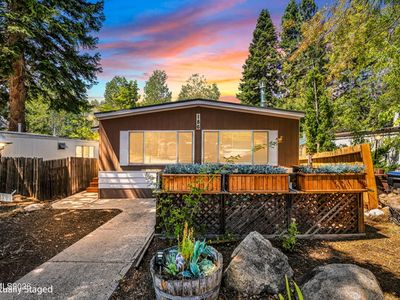 186 Ponderosa Dr