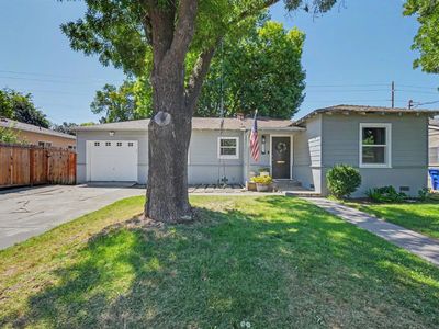 442 Coleman Ct