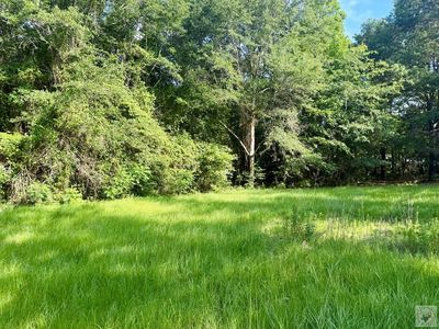 349 County Road 1109