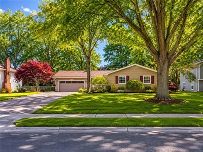 348 Paddy Hill Dr