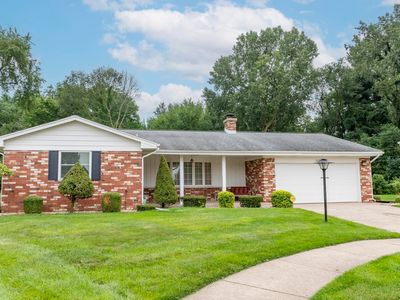 2624 Oak Leaf Cv