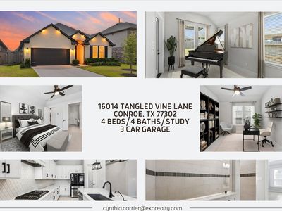 16014 Tangled Vine Ln