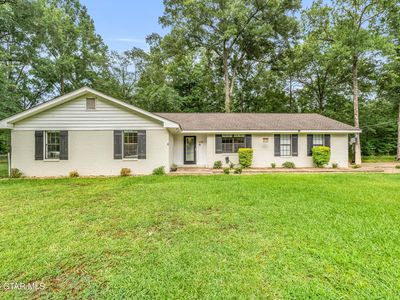 378 Horseshoe Loop
