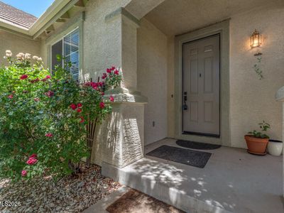 1924 Spring Blossom Ct