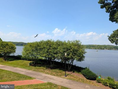 440 Belmont Bay Dr Unit 215