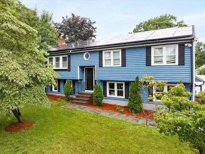 7 Alyssum Dr