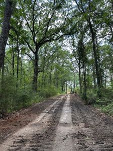 Highway 55