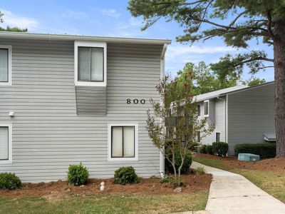 806 Woodland Vlg #806