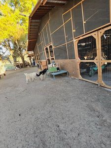 8780 E Derby Oaks Dr