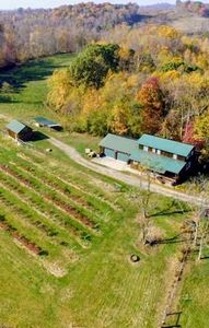 35203 State Route 681