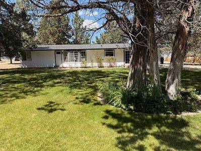477 County Road 246