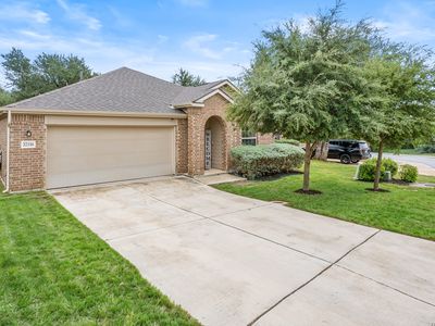 32116 CAMELLIA BND