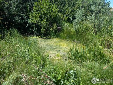Property at 124 Springs Ranch Rd, Laporte, CO