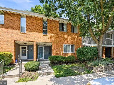 503 Mulberry Cv
