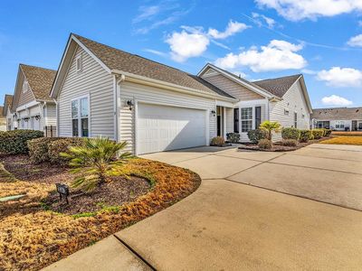 1534 - D Palmina Loop #D