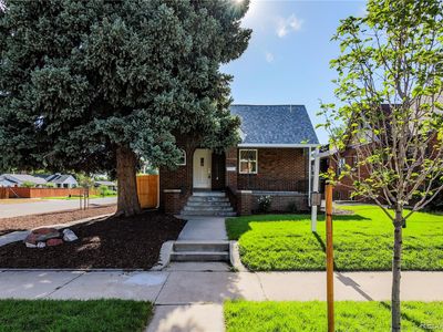 2590 Grape Street