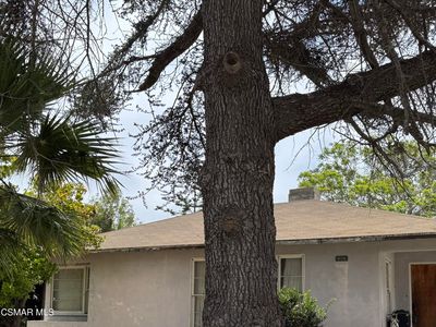 648 Palm Dr