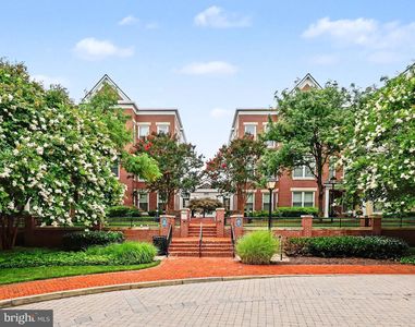 910 Powhatan St Unit 303S