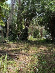 315 Buena Vista BLVD