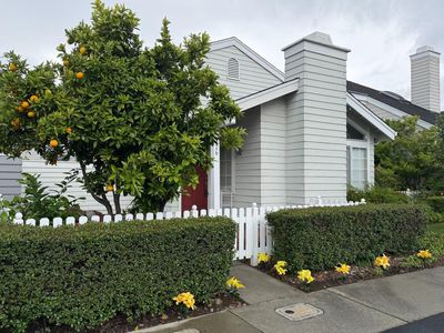 326 Commander Ln