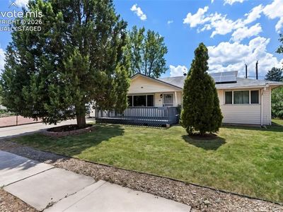 106 Balfour Ave