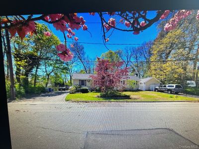 81 Union Avenue #81