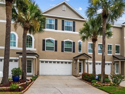 38 SEAGRAPE CIRCLE
