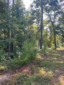 4607 Woodpeckers Grv