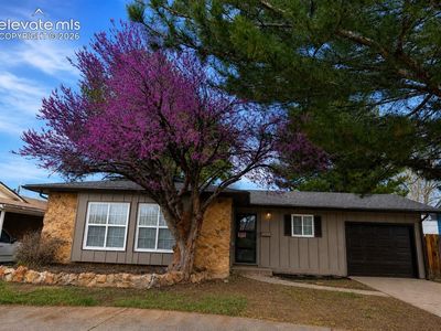 1818 Maplewood Dr