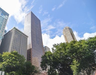161 E Chicago Ave #45FG