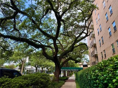 3915 Saint Charles Ave APT 205