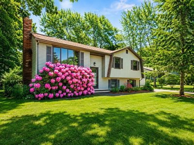 41 William Kelley Rd