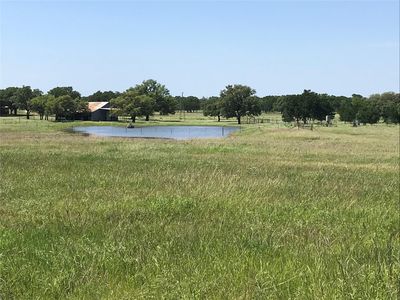 4239 County Road 336