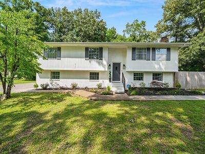 196 County Road 142