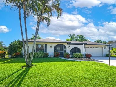 120 Fleur De Lis LN