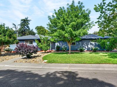 Property at 800 K St, Davis, CA