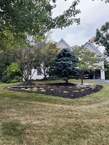 145 Chinaberry Dr