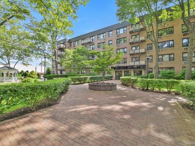 6 Birchwood Court #3F