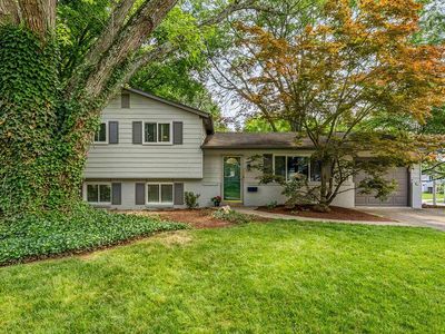 295 Allview Rd