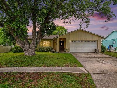 Property at 2815 Linden Tree St, Seffner, FL